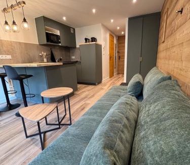La Chapelle-d'Abondance Apartment | Le Cosy