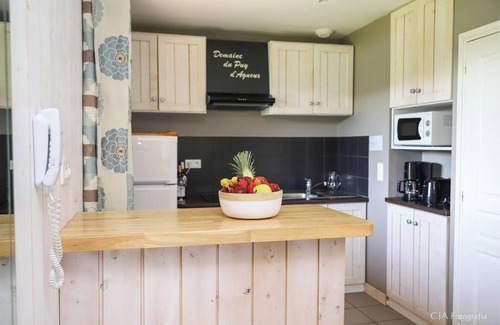 Meyrignac-l'Eglise Ski Chalet | Le Dom des Monédières Ch 3M6V