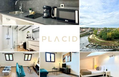 Mont-de-Marsan Apartment | LE DUPLEX BELLE VUE - Hyper Centre
