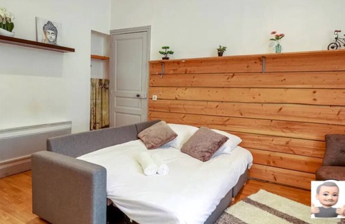 Centre Ville Apartment | Le Foch 50m2 Hypercentre; Parking Privé & Wifi