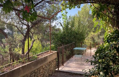 Cavaillon Apartment | Le gîte sous les pins