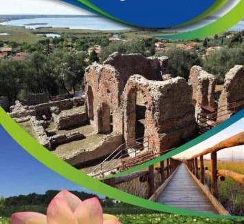 Massarosa Bed & Breakfast | Le Ginestre B & B