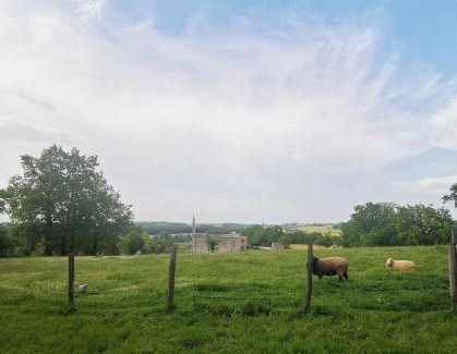 Ribagnac House | Le Gite Du Pech Chabrol