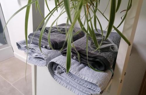 Chartres Apartment | Le Gustin