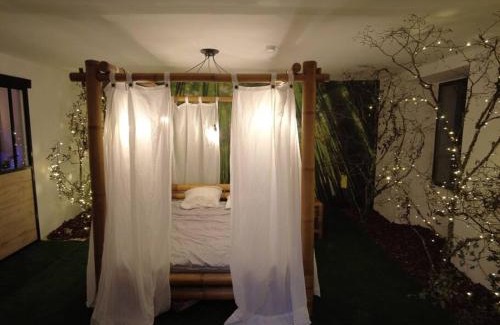 Issoudun Apartment | Le Jardin d'Eden -Appartement de charme avec Sauna, Hammam, spa