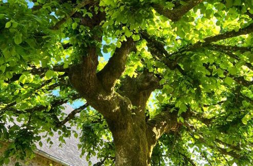 Chabrignac Bed & Breakfast | Le manoir de Jasmine