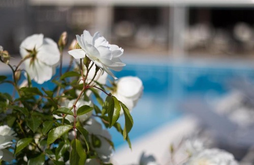 Cote d'Azur- French Riviera Hotel | Le Mas Bellevue