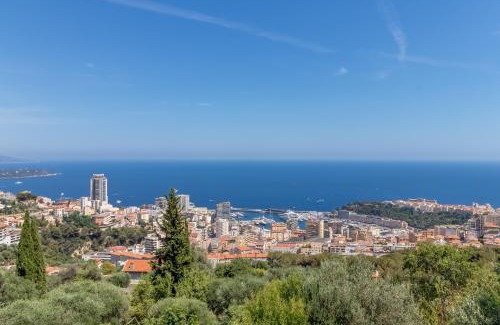 Beausoleil Apartment | Le Mas d'Angeline - Vue mer jardin commun parking voiture obligatoire 10min voiture Monaco route étroite pente raide croisement limité voir photos - Sea view shared garden parking car mandatory 10min car Monaco narrow steep road limited passing see photos