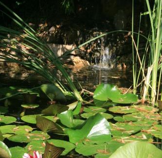 Pont Royal Bed & Breakfast | Le Mas De La Cigale Bleue, Caumont Sur Durance