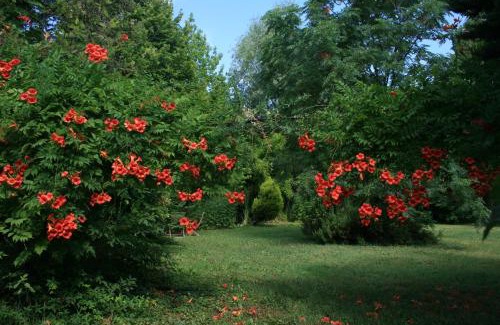 Pont Royal Bed & Breakfast | Le Mas De La Cigale Bleue, Caumont Sur Durance