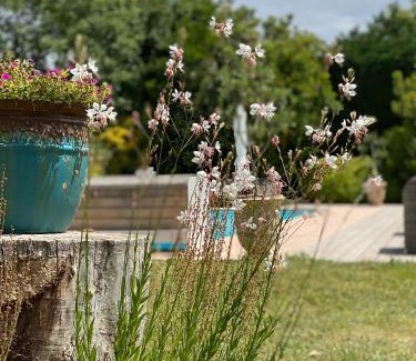 Le Thor Bed & Breakfast | Le Mas de la Martelière