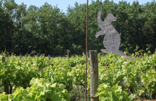 Gordes House | Le Moulin de la Badelle - A mill in Provence, in the heart of the Luberon.