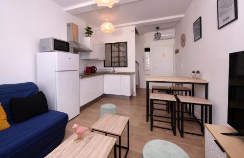 Salon-de-Provence Apartment | Le Nostradamus - Magnifique appartement cours principal plein centre avec parking