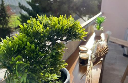 Martigues Apartment | LE PARADIS APPARTEMENT