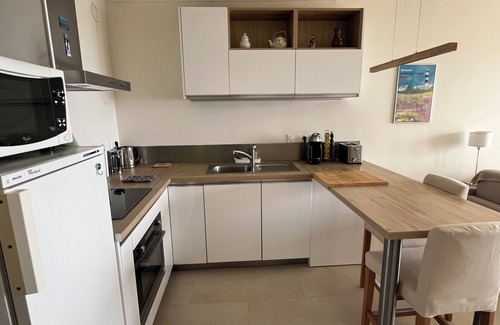 Palavas-les-Flots Apartment | Le petit Albatros 3* : Sea view-Parking-Clim