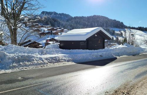 Le Chinaillon Ski Chalet | Le Petit Chalet du Chinaillon