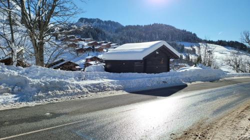 Le Chinaillon Ski Chalet | Le Petit Chalet du Chinaillon