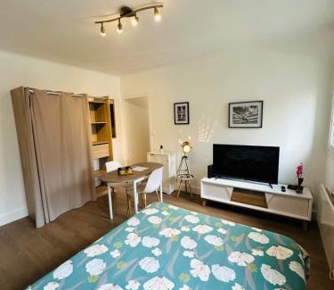 Charleville-Mezieres Apartment | Le Petit Gambetta