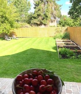 Chessy Apartment | Le petit nid de chessy