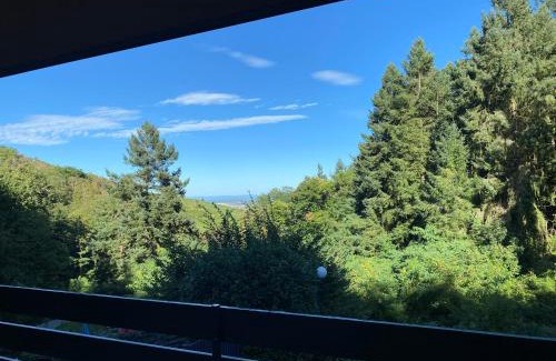 Wettolsheim Bed & Breakfast | Le Petit Prince et la Rose