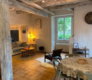 Belfort Apartment | Le refuge du lion