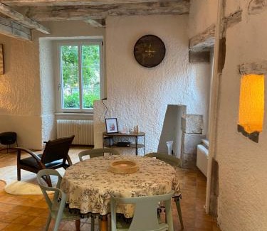 Belfort Apartment | Le refuge du lion