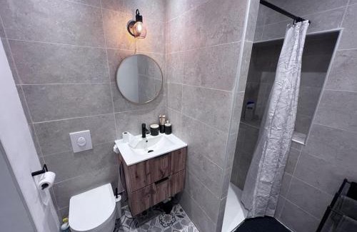 Belfort Apartment | Le refuge du lion