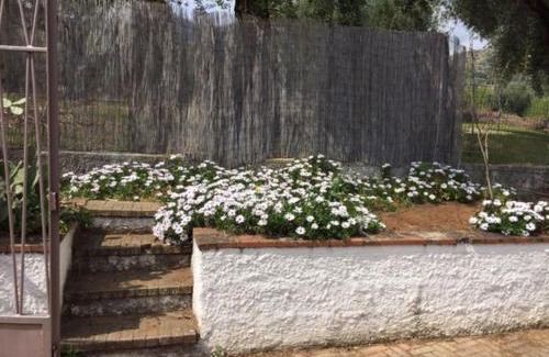 Marina Di Camerota Apartment | Le Rose