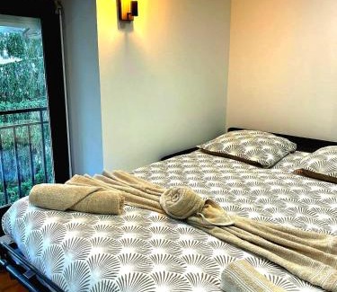 Macon Apartment | Le Sigorgne Centre-ville Gare