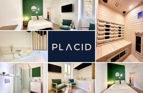 Mont-de-Marsan Apartment | Le SPA Étoilé - Baignoire Balnéo et Sauna Privatif