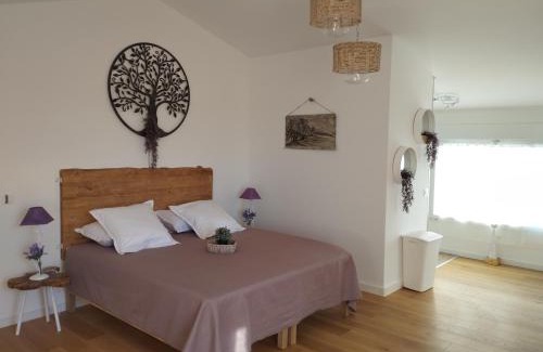 Valensole Bed & Breakfast | Le Spa des lavandes panoramique