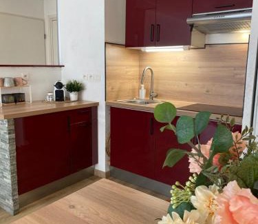 Saint-Roch Apartment | Le Spot Niçois