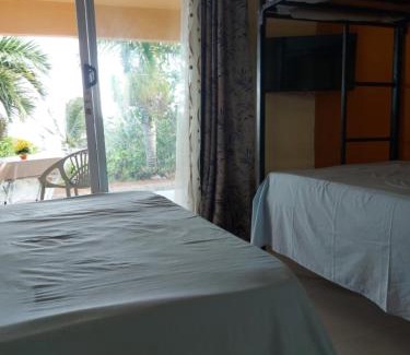 Coromandel Bed & Breakfast | Le Toit Enchanté