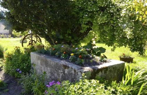 Reaux Bed & Breakfast | Le Vieux Noyer