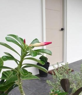 Nong Chaeng Hotel | Le Wadee Residence