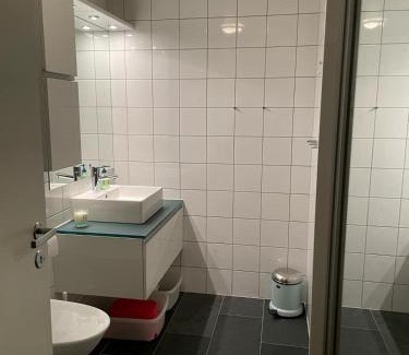 Sirdal Apartment | Leisure apartment at Sinnes