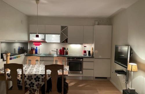 Sirdal Apartment | Leisure apartment at Sinnes