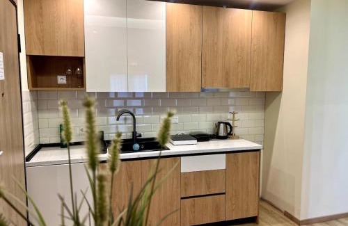 Karpenisi Apartment | Lela's Apartment #2