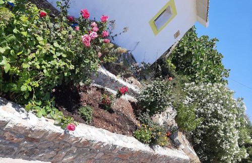 Sitia House | Lemon Garden 1