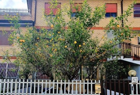 Ostia Antica Apartment | Lemon Tree House
