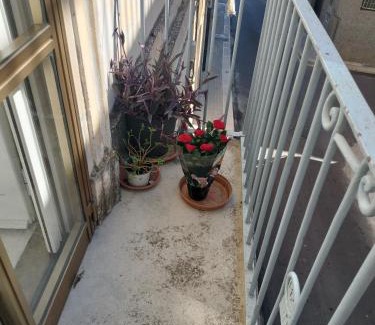 Altamura House | "Leonessa di Puglia"