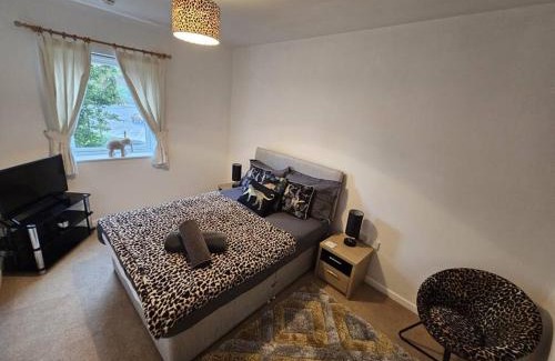 Warrington Apartment | Leopard in Dutton Warrington
