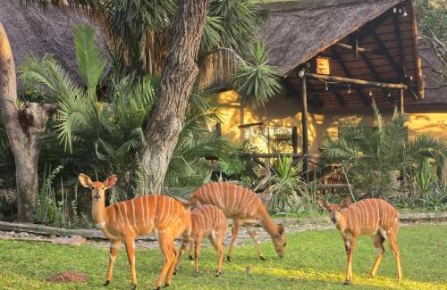 Maruleng Bed & Breakfast | Leopard Rock Guest Lodge