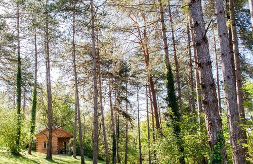 Sarlat-la-Caneda Ski Chalet | Les Acacias: Chalet and swimming pool in the heart of Sarlat.