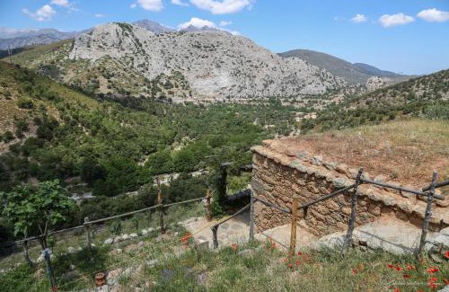 Omessa House | Les Bergeries "Le figuier"