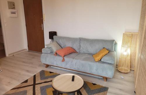 Castres Apartment | Les Cèdres - grand studio - neuf