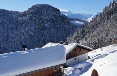 Les Gets Ski Chalet | Les Gets