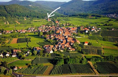 Mittelbergheim Apartment | Les Gites du Holzweg