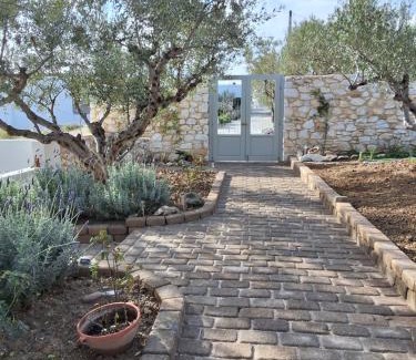 Piso Livadi Apartment | LEVANDA PAROS HOUSE