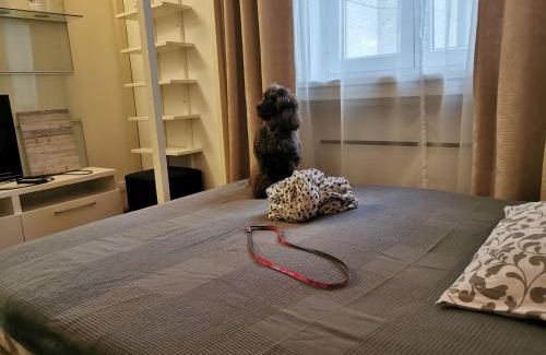 Lagymanyos Apartment | Liberty Bridge Zenta